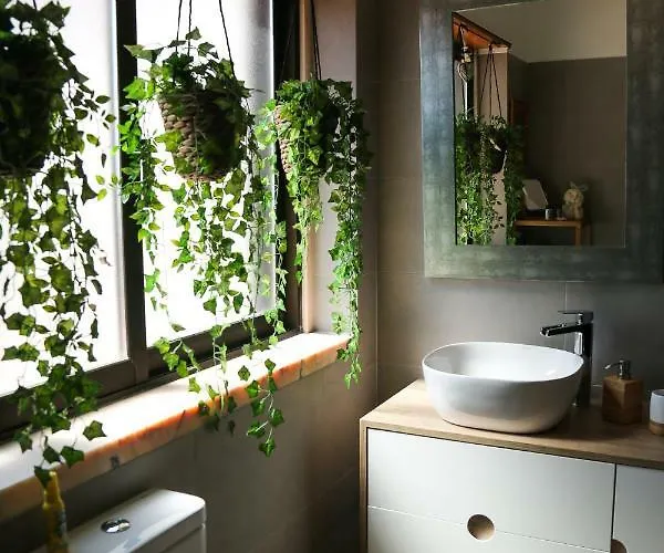 Paradise Guest house