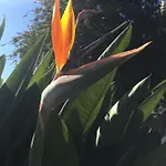 Paradise 4*